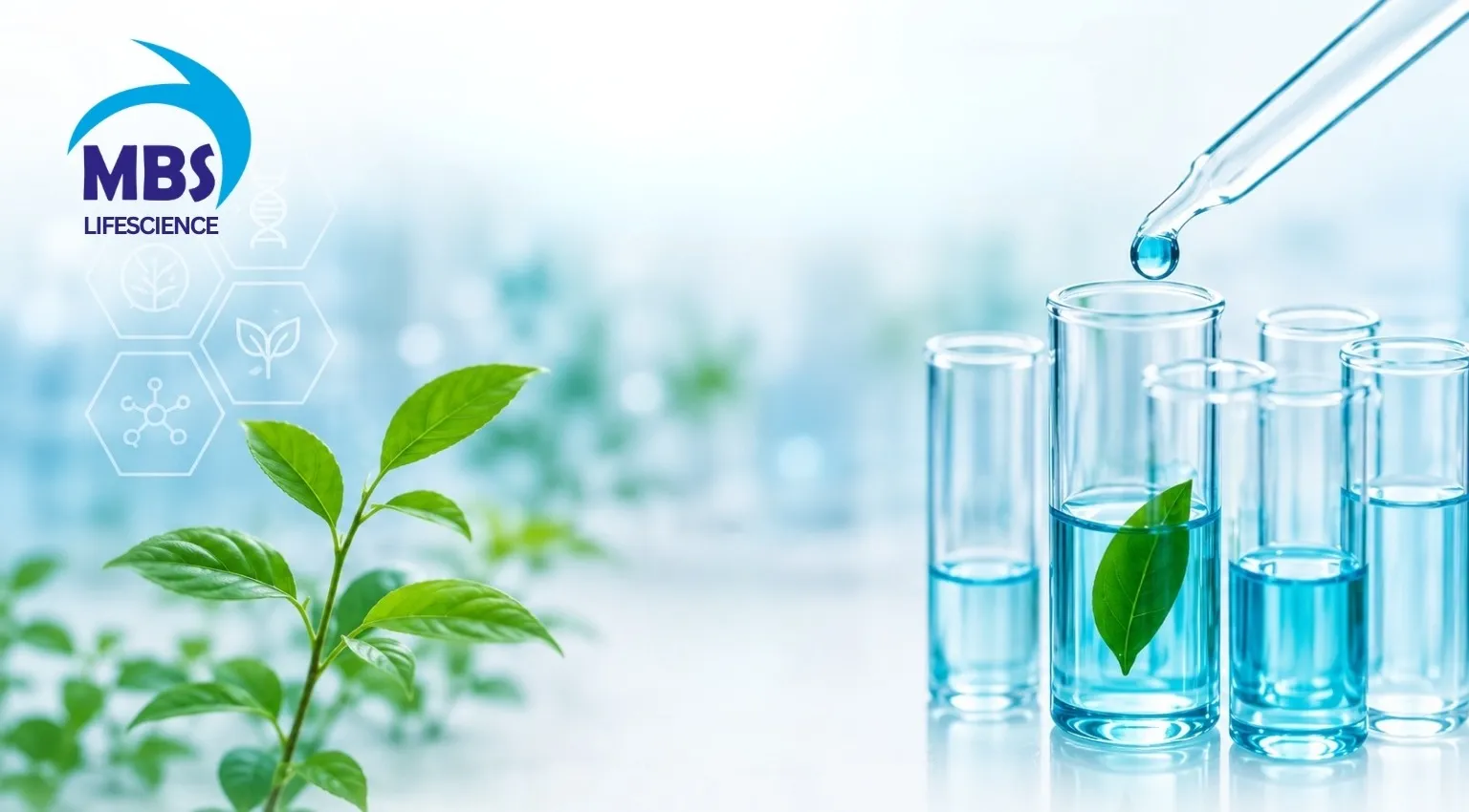 MBS Lifescience Pvt. Ltd.