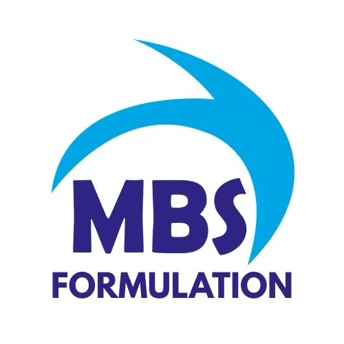 MBS Formulation